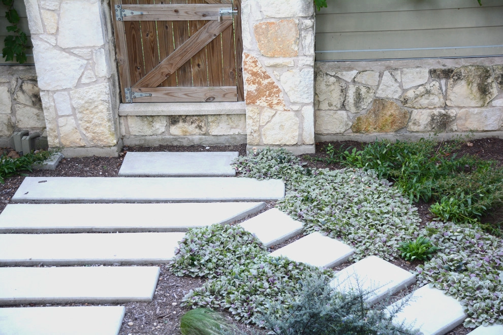 South Lamar by Seedlings Landscape Design Build - Photo 9