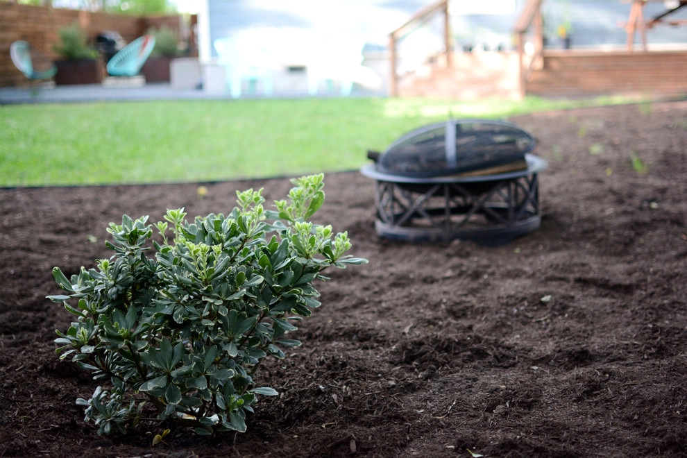 Brentwood by Seedlings Landscape Design Build - Photo 5