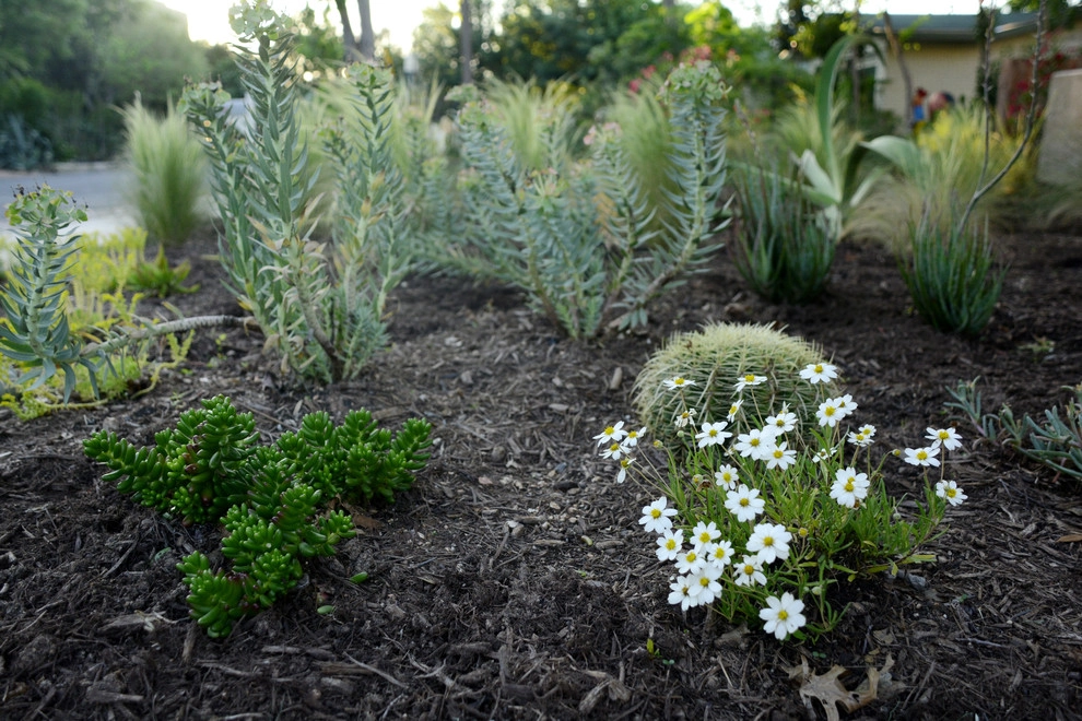 Fortview by Seedlings Landscape Design Build - Photo 3