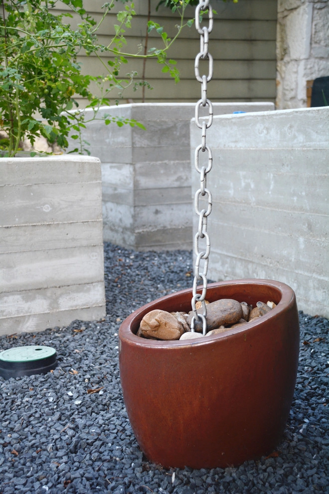 South Lamar by Seedlings Landscape Design Build - Photo 12