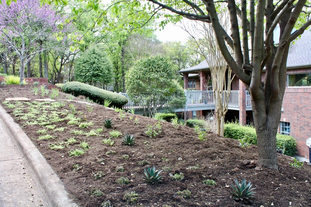 Regents Park by Seedlings Landscape Design Build - Photo 5