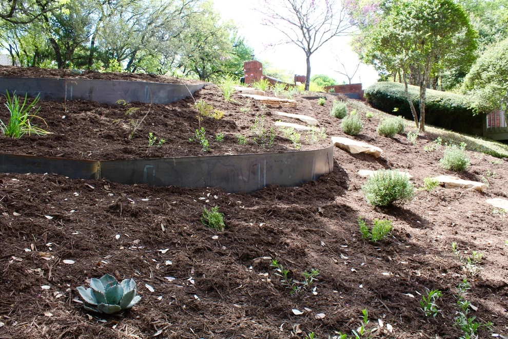 Regents Park by Seedlings Landscape Design Build - Photo 2