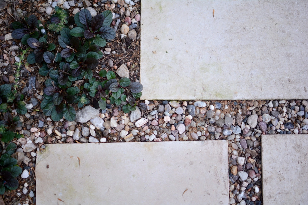 Brentwood by Seedlings Landscape Design Build - Photo 8