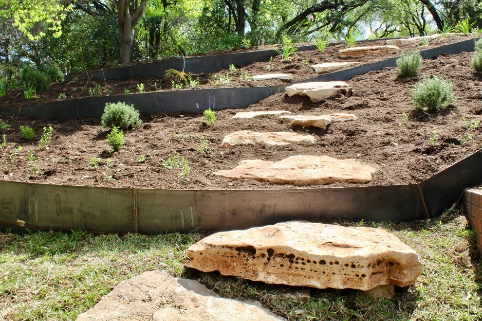 Regents Park by Seedlings Landscape Design Build - Photo 3