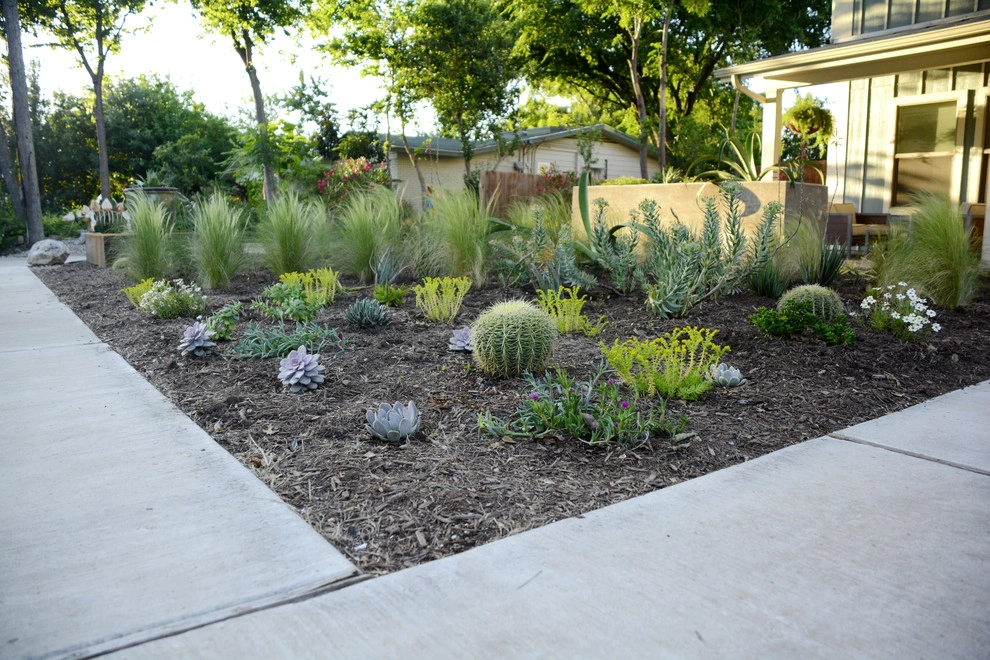 Fortview by Seedlings Landscape Design Build - Photo 6