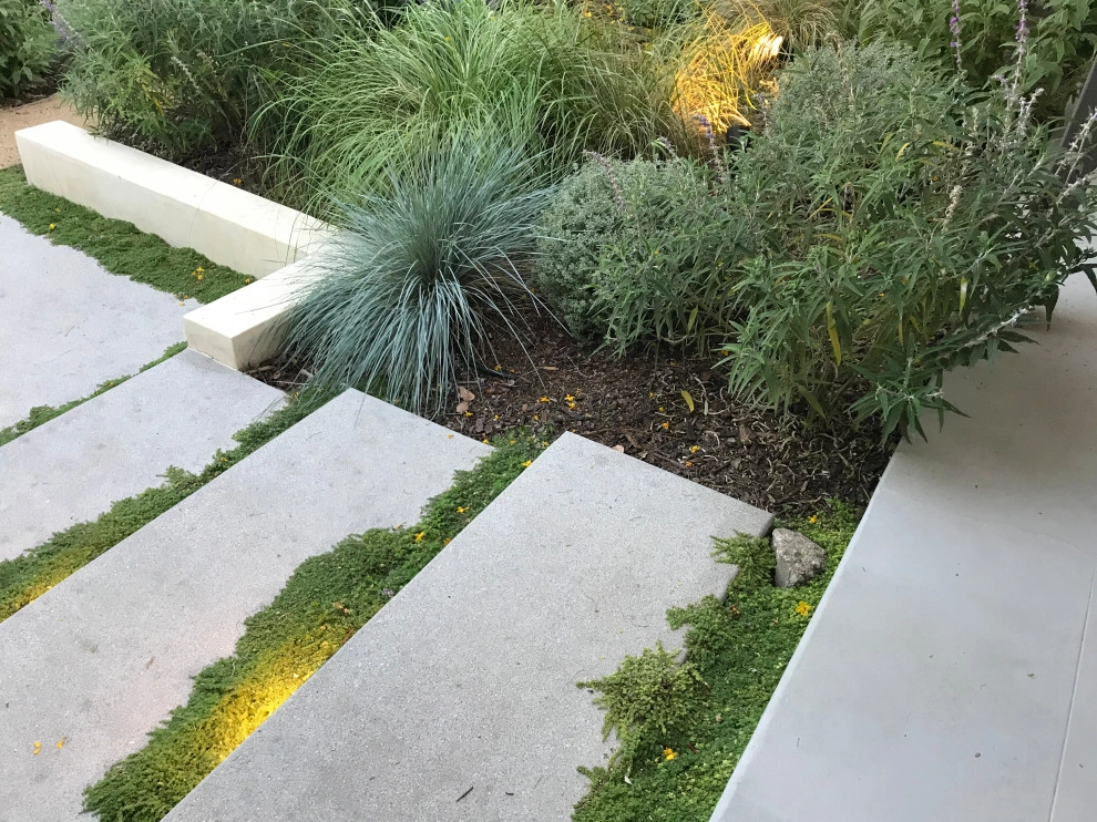 Studio City garden by Segal Shuart Landscape Architects - Photo 4