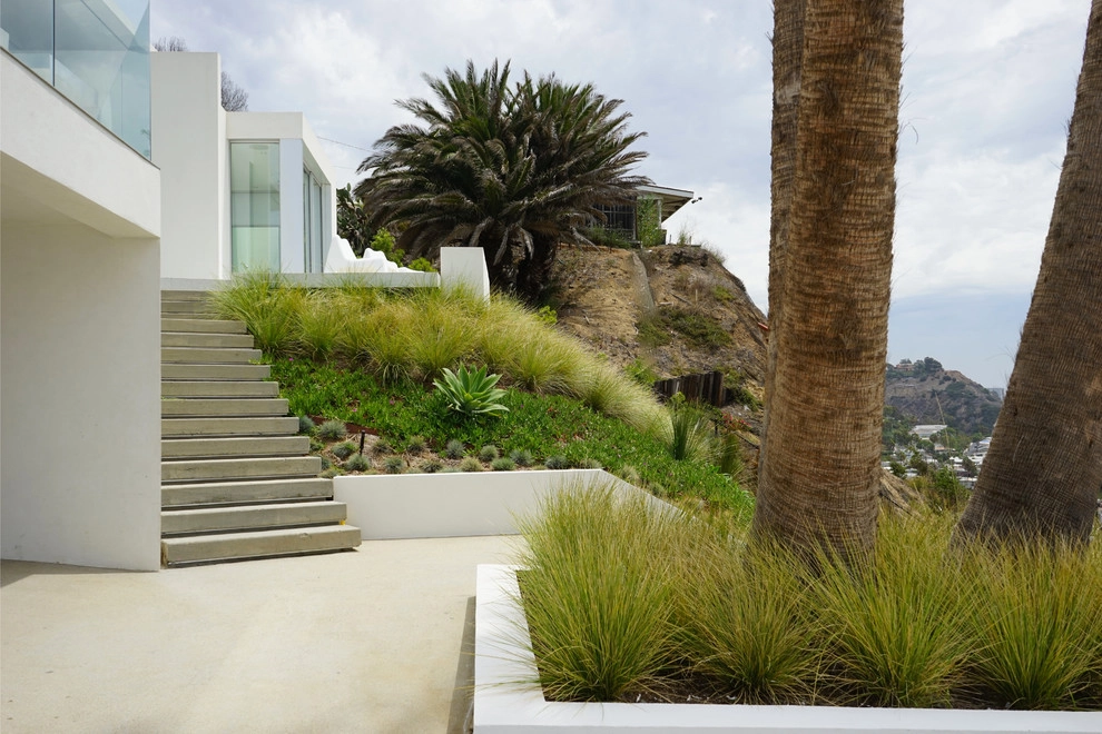 Pacific Palisades Contemporary by Segal Shuart Landscape Architects - Photo 2