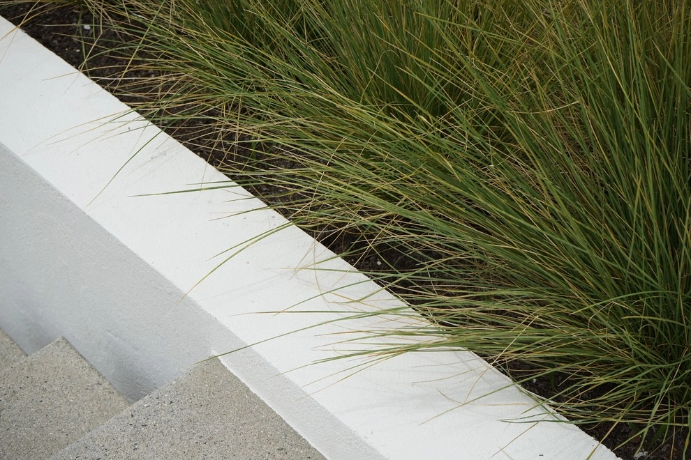 Pacific Palisades Contemporary by Segal Shuart Landscape Architects - Photo 3