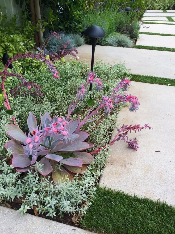 Segal Shuart Landscape Architects - Photo 11