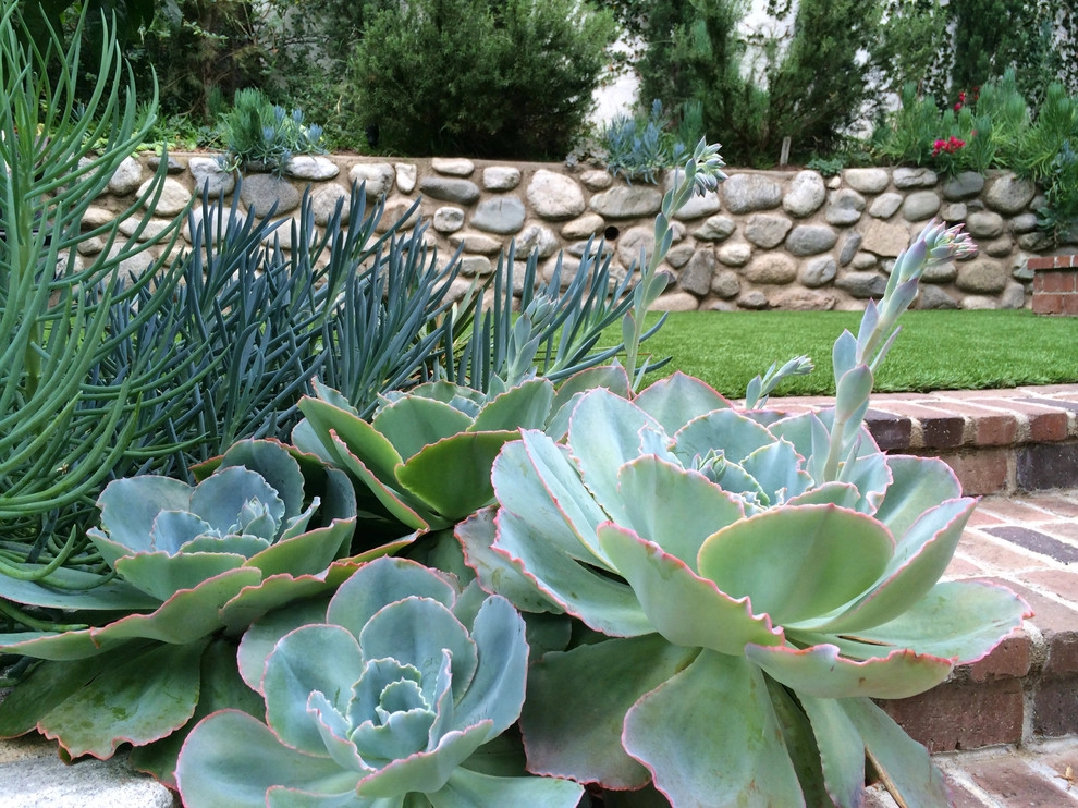 Pasadena garden by Segal Shuart Landscape Architects - Photo 8
