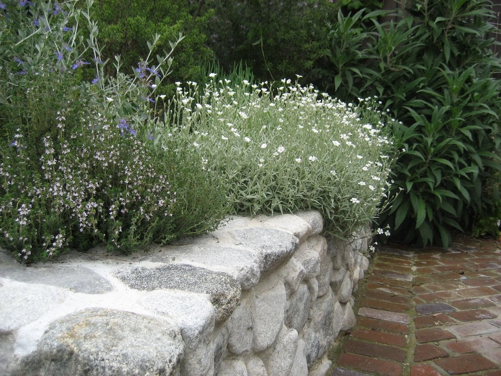 Pasadena garden by Segal Shuart Landscape Architects - Photo 11