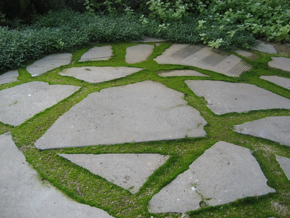 Pasadena garden by Segal Shuart Landscape Architects - Photo 3
