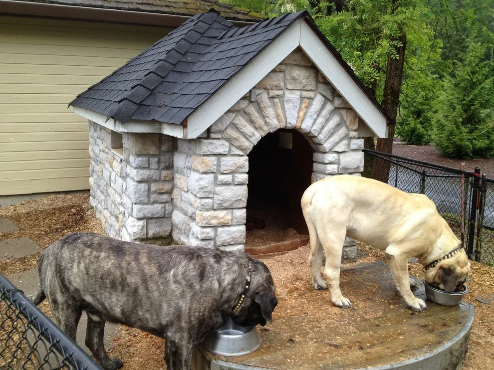 Canine Estate Shelter by Visionarch, LLC - Photo 3