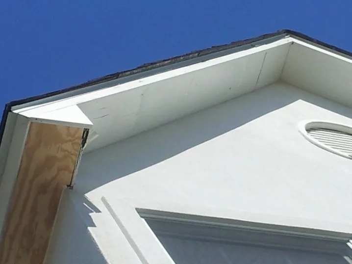 Outdoor Painting and Maintenance by WLC Pressure Washing & Services - Photo 6