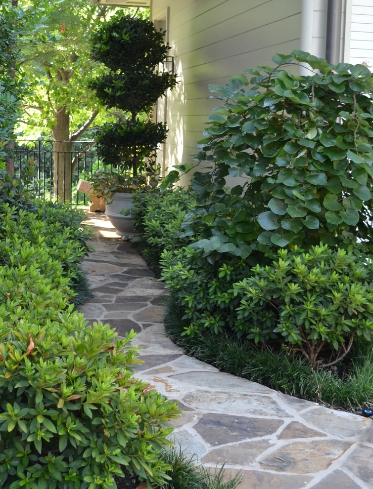 Backyard space by Brumley Gardens - Photo 4