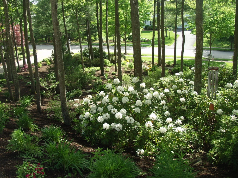 Old Barn by Seoane Landscape Design - Photo 12