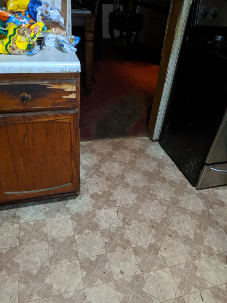 Bill's Culinary Space by LTL Home Improvements, LLC - Photo 3