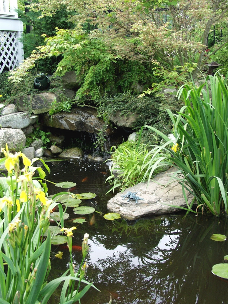 Ponds by Seoane Landscape Design - Photo 4