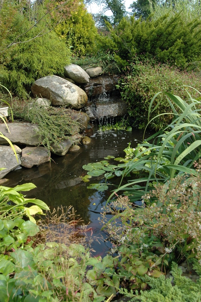 Ponds by Seoane Landscape Design - Photo 11