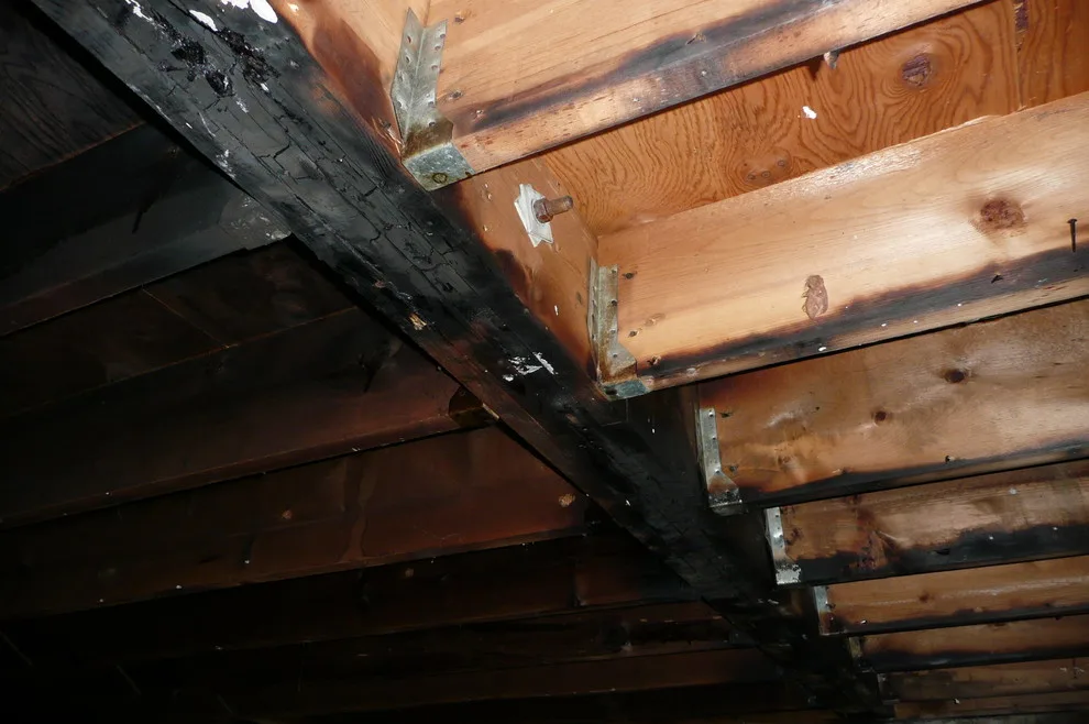Sites Affected by Fire Damage by Carey Design Build - Photo 43