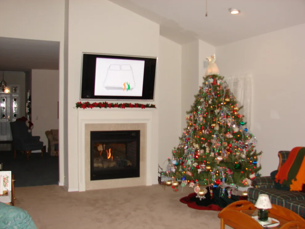 Fireplace Design, Build, and Installation by Home Energy Conservation Inc. - Photo 15