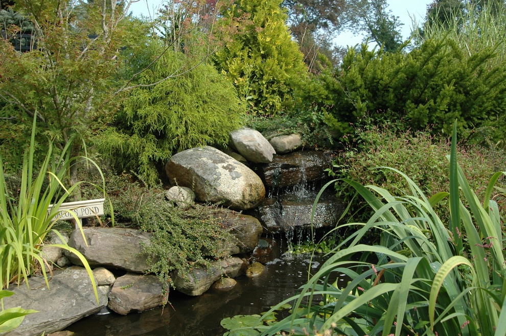 Ponds by Seoane Landscape Design - Photo 12