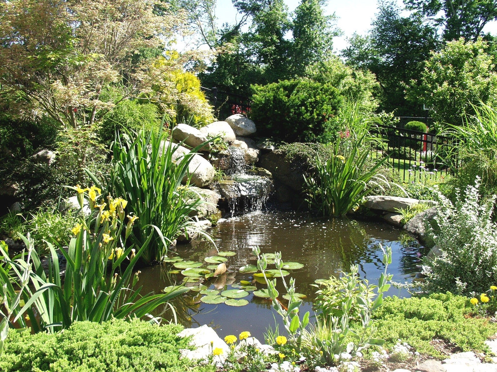 Ponds by Seoane Landscape Design - Photo 13