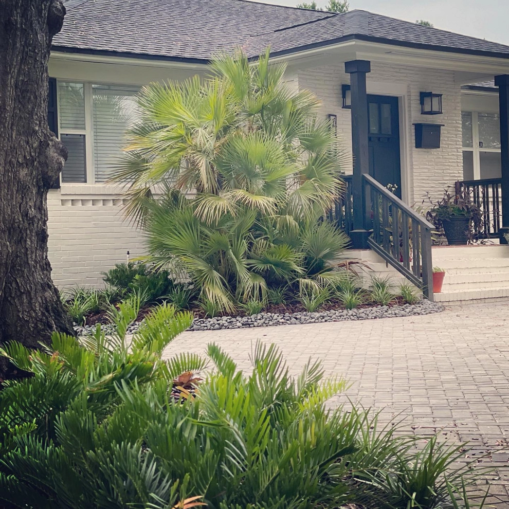 Pierce Residence : San Marco by Serenoa Landscape Design - Photo 2