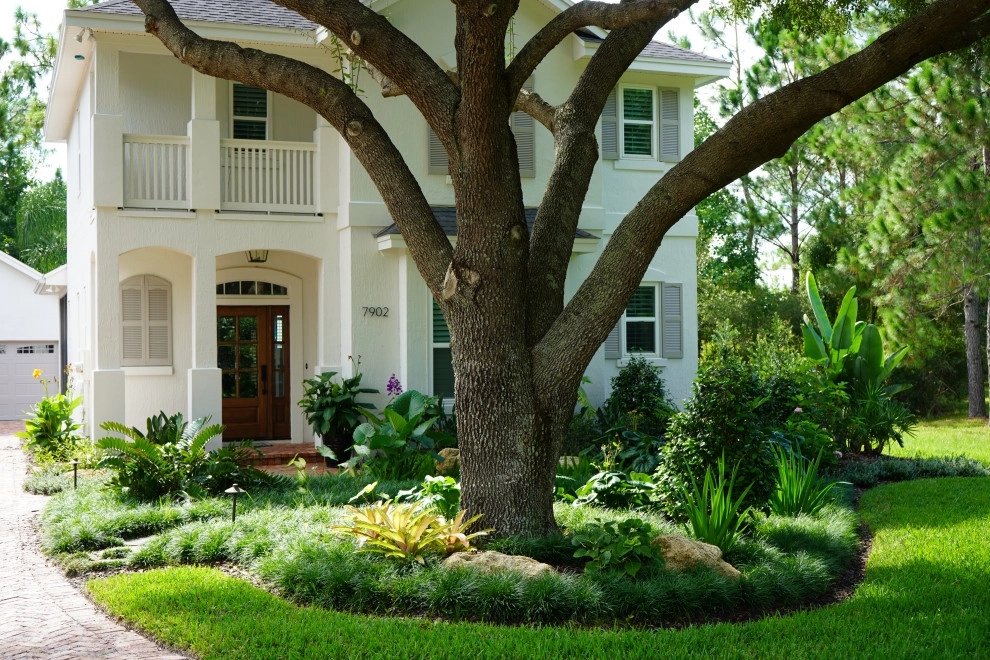 Cordy Residence : Hampton Park Neighborhood by Serenoa Landscape Design - Photo 5
