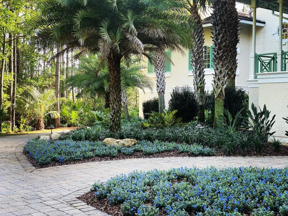 Gilman Residence : Fernandina Beach by Serenoa Landscape Design - Photo 5