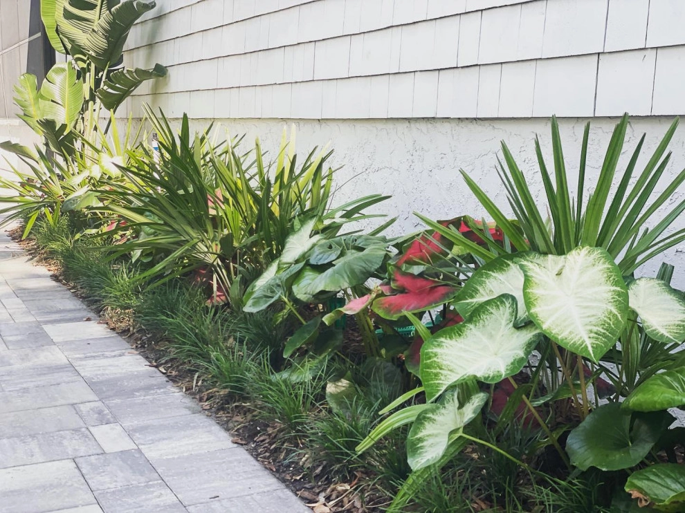 Wall Residence : Palm Valley by Serenoa Landscape Design - Photo 4
