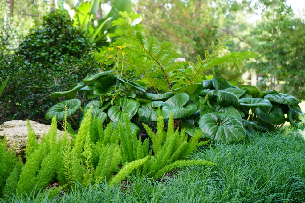 Cordy Residence : Hampton Park Neighborhood by Serenoa Landscape Design - Photo 2