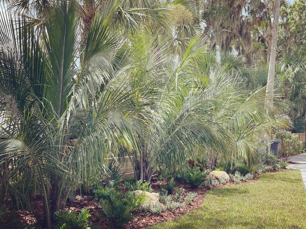 Wall Residence : Palm Valley by Serenoa Landscape Design - Photo 5