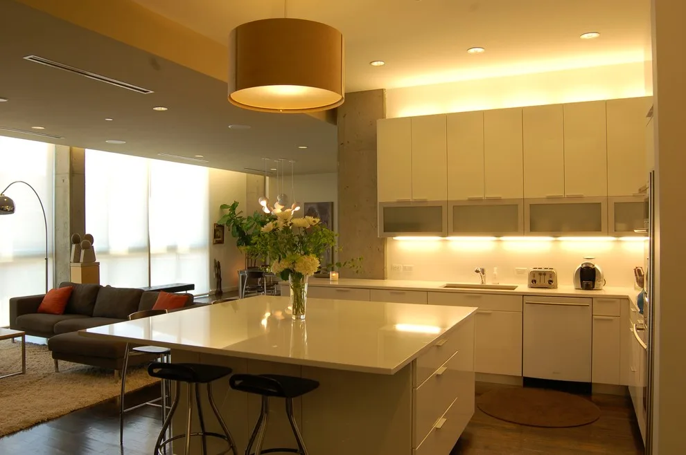 Contemporary Loft Home in Downtown KC by Faust Construction - Photo 7