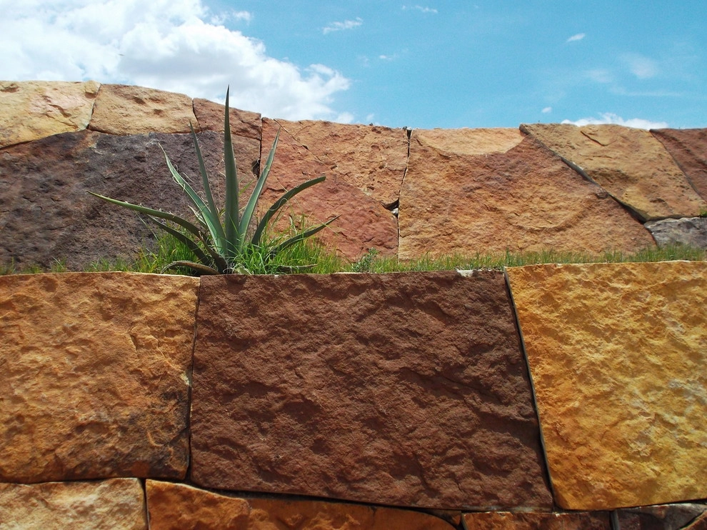contemporary Santa Fe home by Serquis + Associates Landscape Architecture - Photo 6