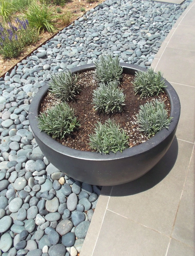 contemporary Santa Fe home by Serquis + Associates Landscape Architecture - Photo 9
