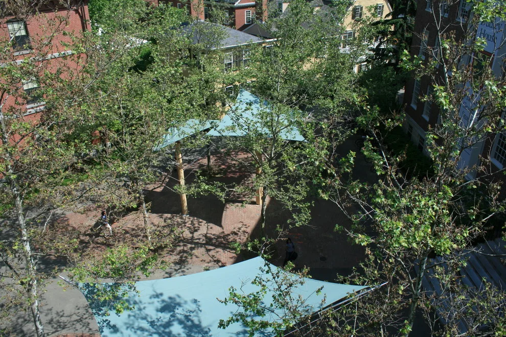 HARVARD GREENSPACE by Paquette Associates Inc. - Photo 5