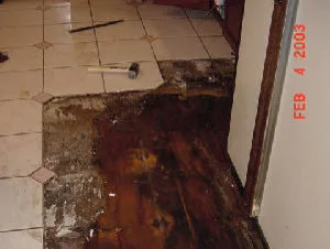 Hayes Maintenance & Home Improvement - Photo 6