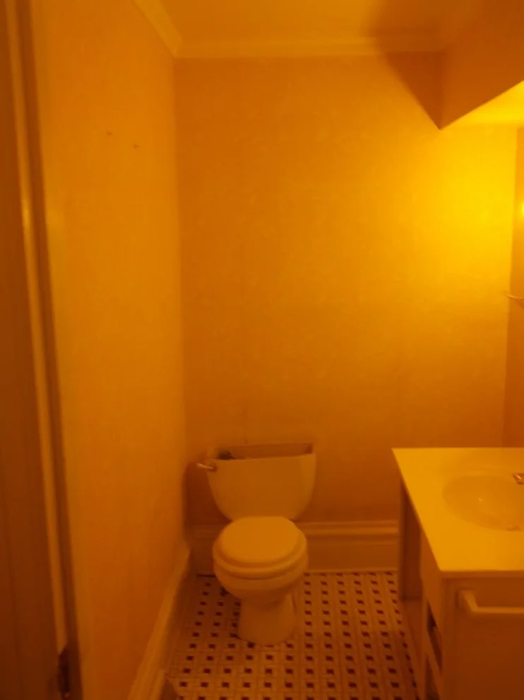Classic Powder Room by Price & Vaughn Company - Photo 4