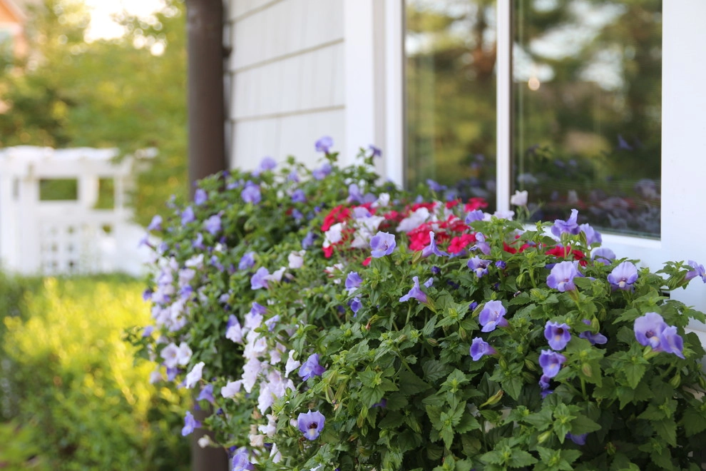 Tennis Court Lane, Rumson by Siciliano Landscape Company - Photo 14