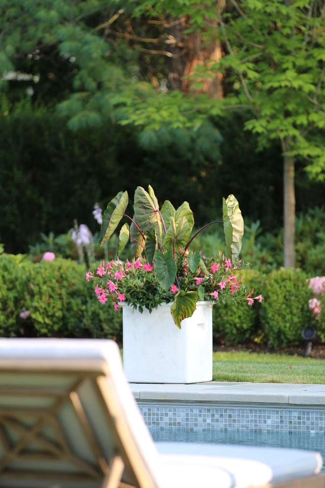 Tennis Court Lane, Rumson by Siciliano Landscape Company - Photo 6