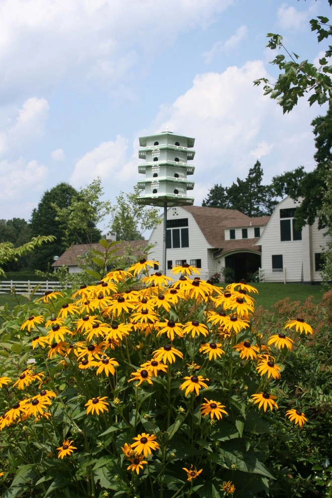 Residential Landscape Gallery by Siciliano Landscape Company - Photo 13