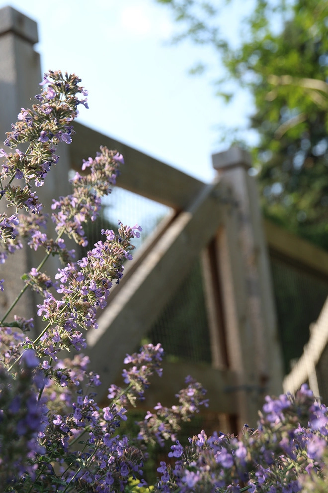 Auldwood Lane by Siciliano Landscape Company - Photo 5