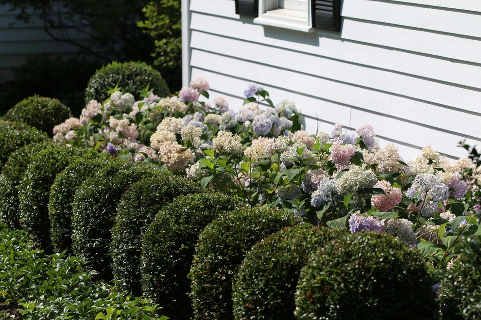 Bellevue by Siciliano Landscape Company - Photo 3