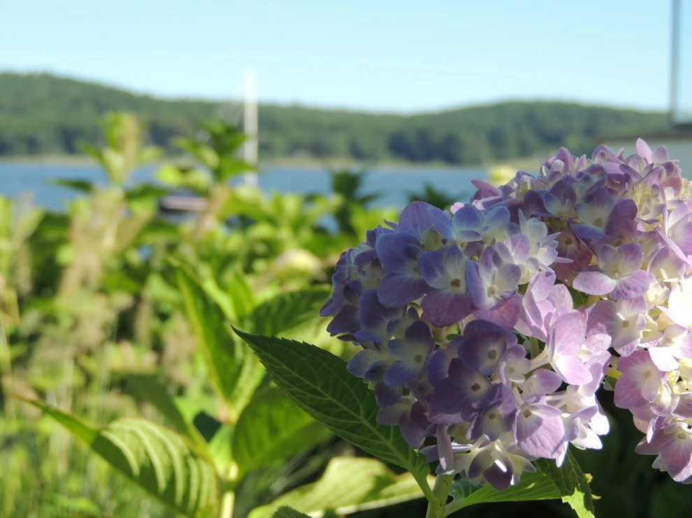 East River Road by Siciliano Landscape Company - Photo 7