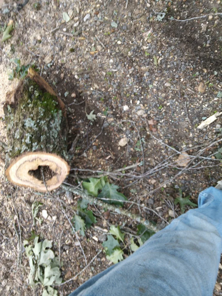 Oklahoma Weather Impact Assessment by IDE General Contracting - Photo 15