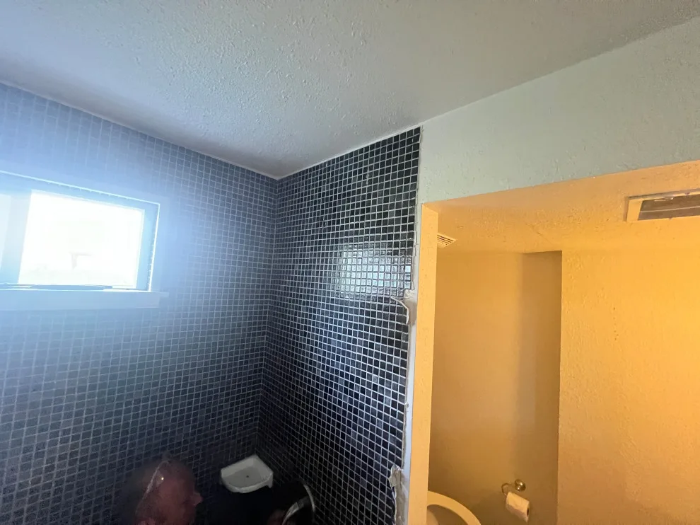 High Ridge bathroom renovation by IMG Construction Services - Photo 8