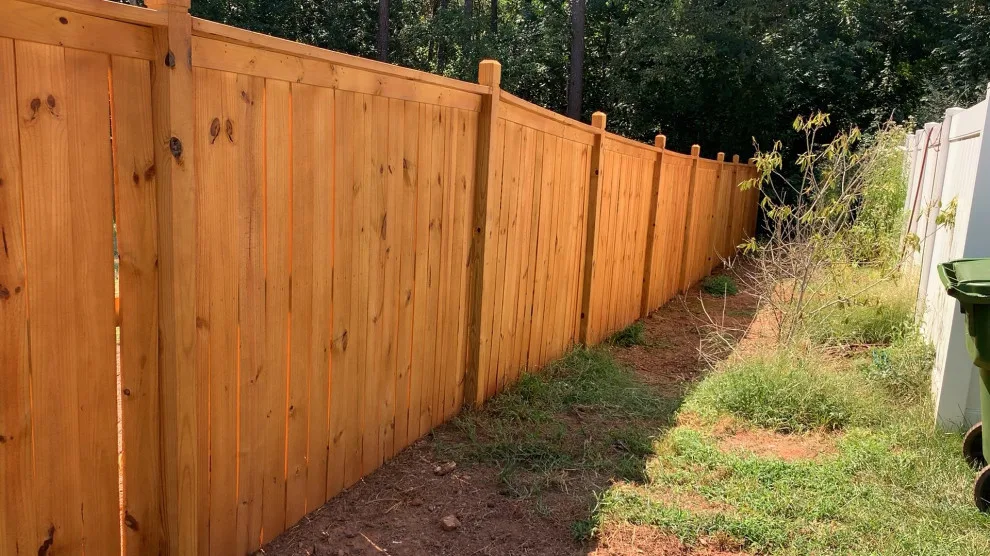 Roy's fence staining project by Bs&eng CO - Photo 10