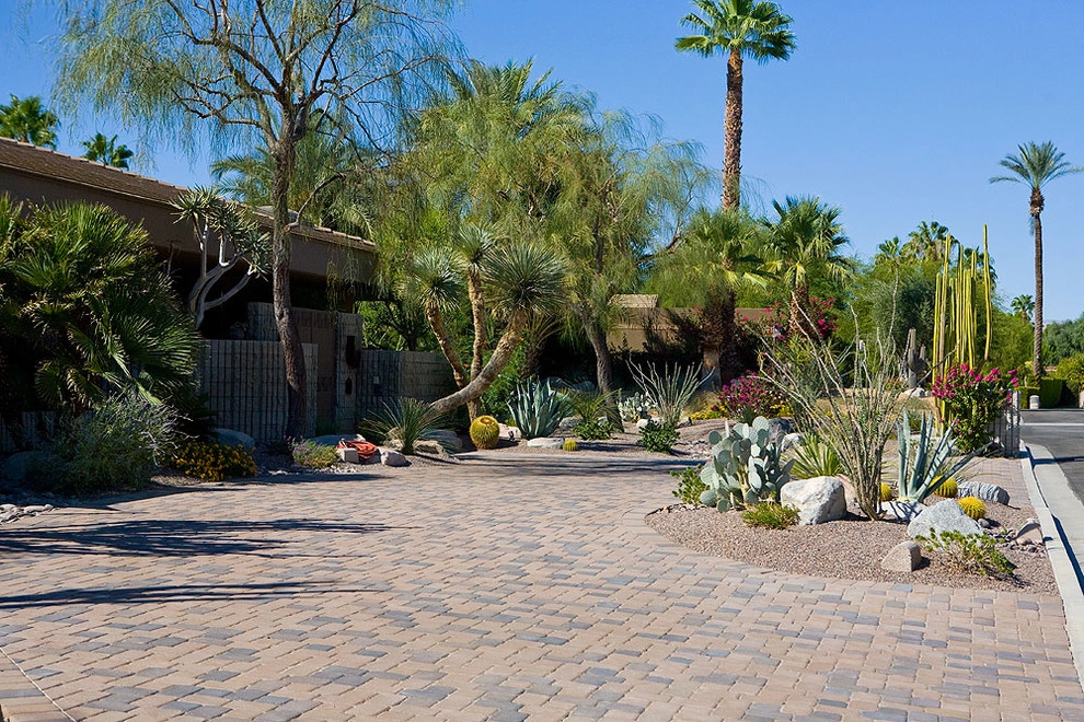 Sonora Gardens Nursery And Landscape - Photo 8