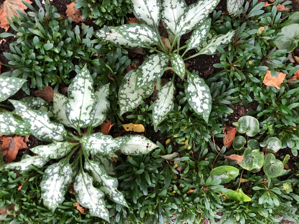 Sophie Bignet Landscape Design - Photo 12